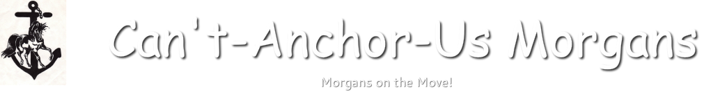 Can't-Anchor-Us Morgans
